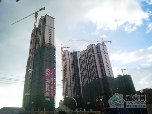 微信图片_201807191546355_副本