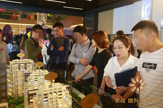 1119 世茂德兴璀璨天城后宣(2)534.png