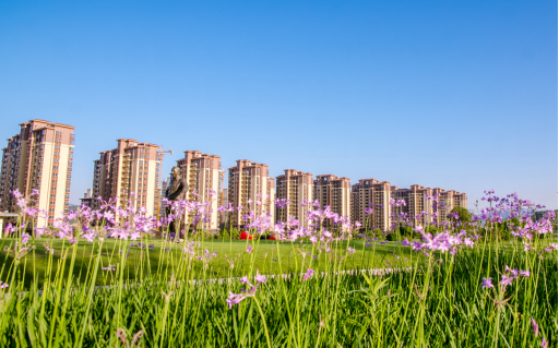 190612百亿造城 龙岩自此开启紫金山时代（盖子配图）(2)1100.png