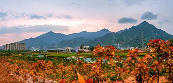 共赴绚丽紫金山，邂逅烂漫“彩虹”308.png