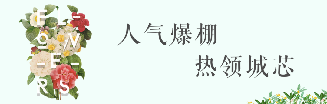 1616388048627919.png